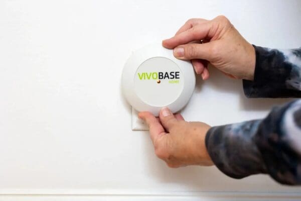 A person holding Vivo Base